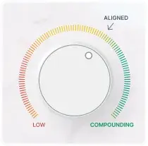 Compass alignment gauge